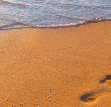 Am Strand am Meer und Sand.