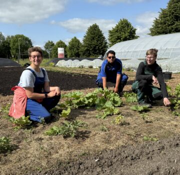 Zwei junge Männer und eine junge Frau sind draußen auf einem großen angebauten Beet. Im Hintergrund sieht man ein Gewächshaus. Draußen scheint schön die Sonne.