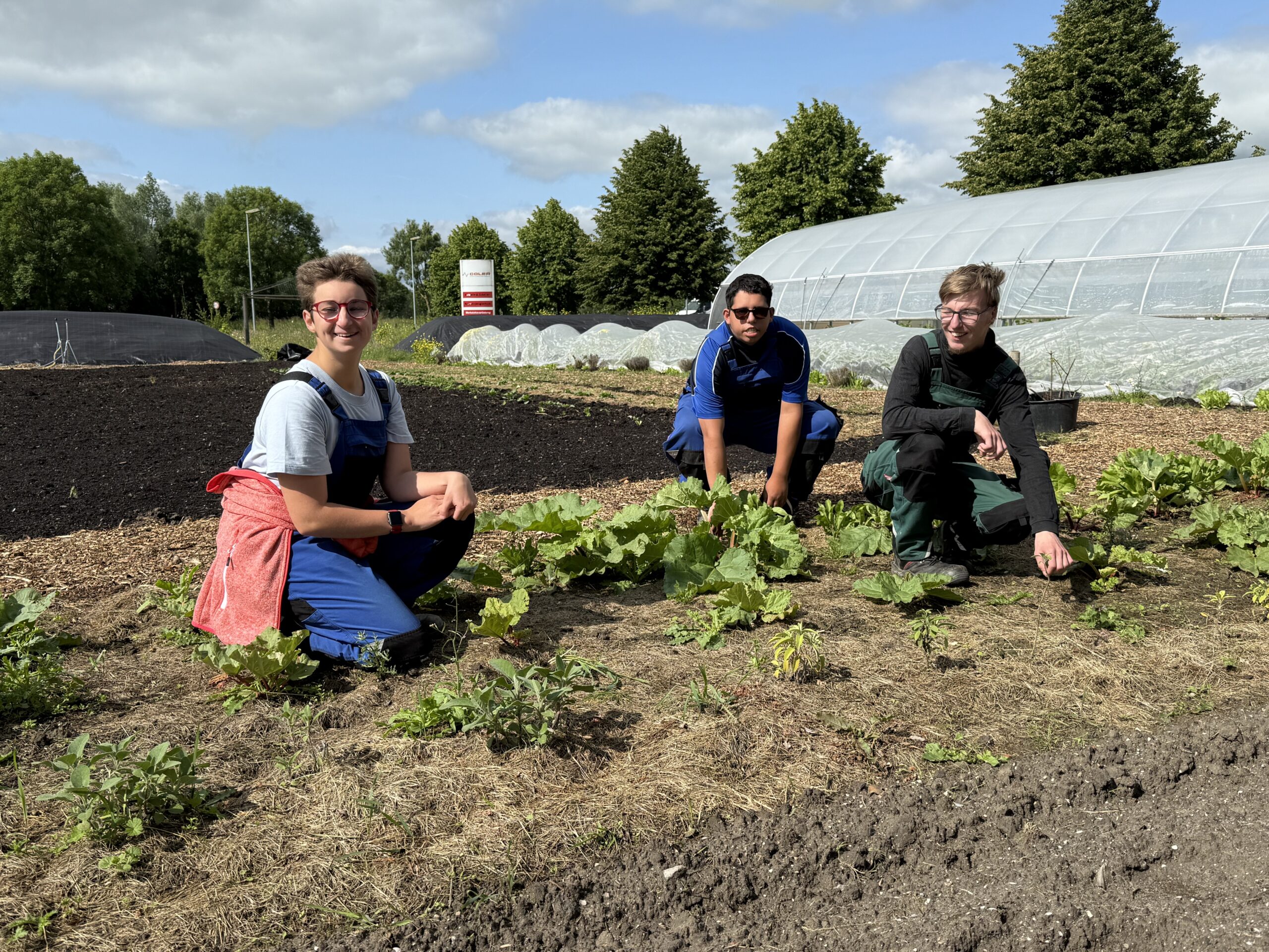 Zwei junge Männer und eine junge Frau sind draußen auf einem großen angebauten Beet. Im Hintergrund sieht man ein Gewächshaus. Draußen scheint schön die Sonne.